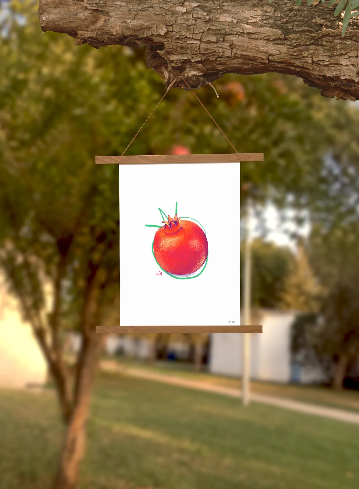 013 | רימוֹן