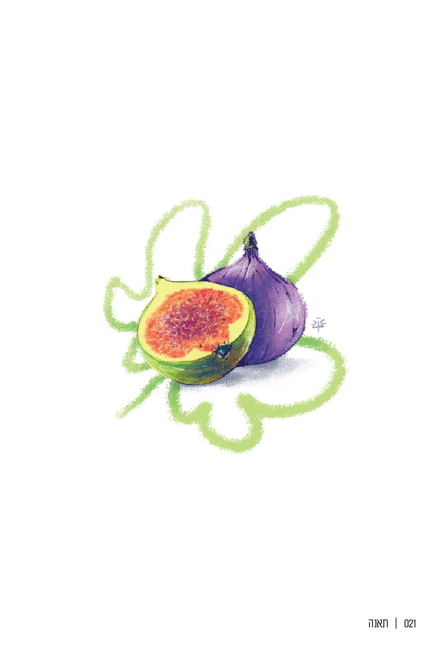 021  |  תאנה