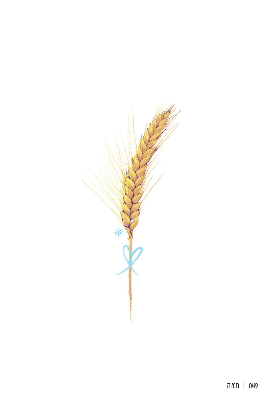 049  |  חיטה