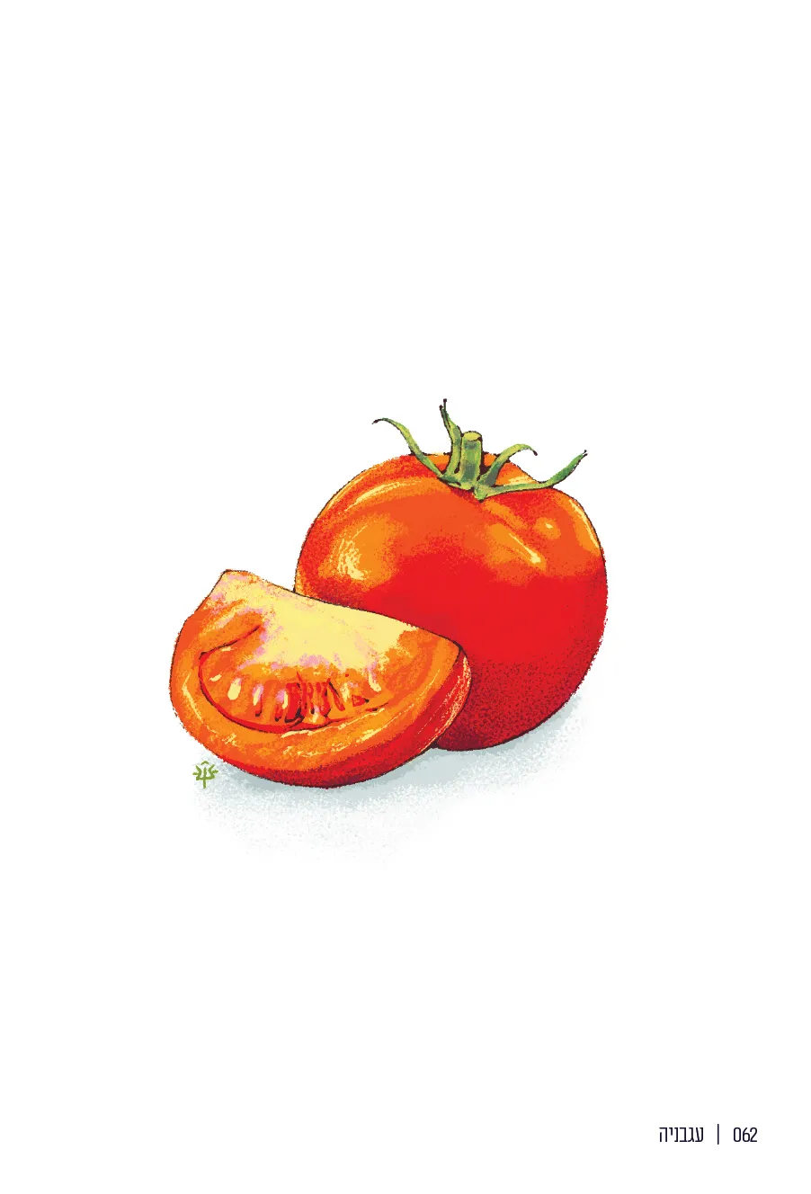 062  |  עגבניה