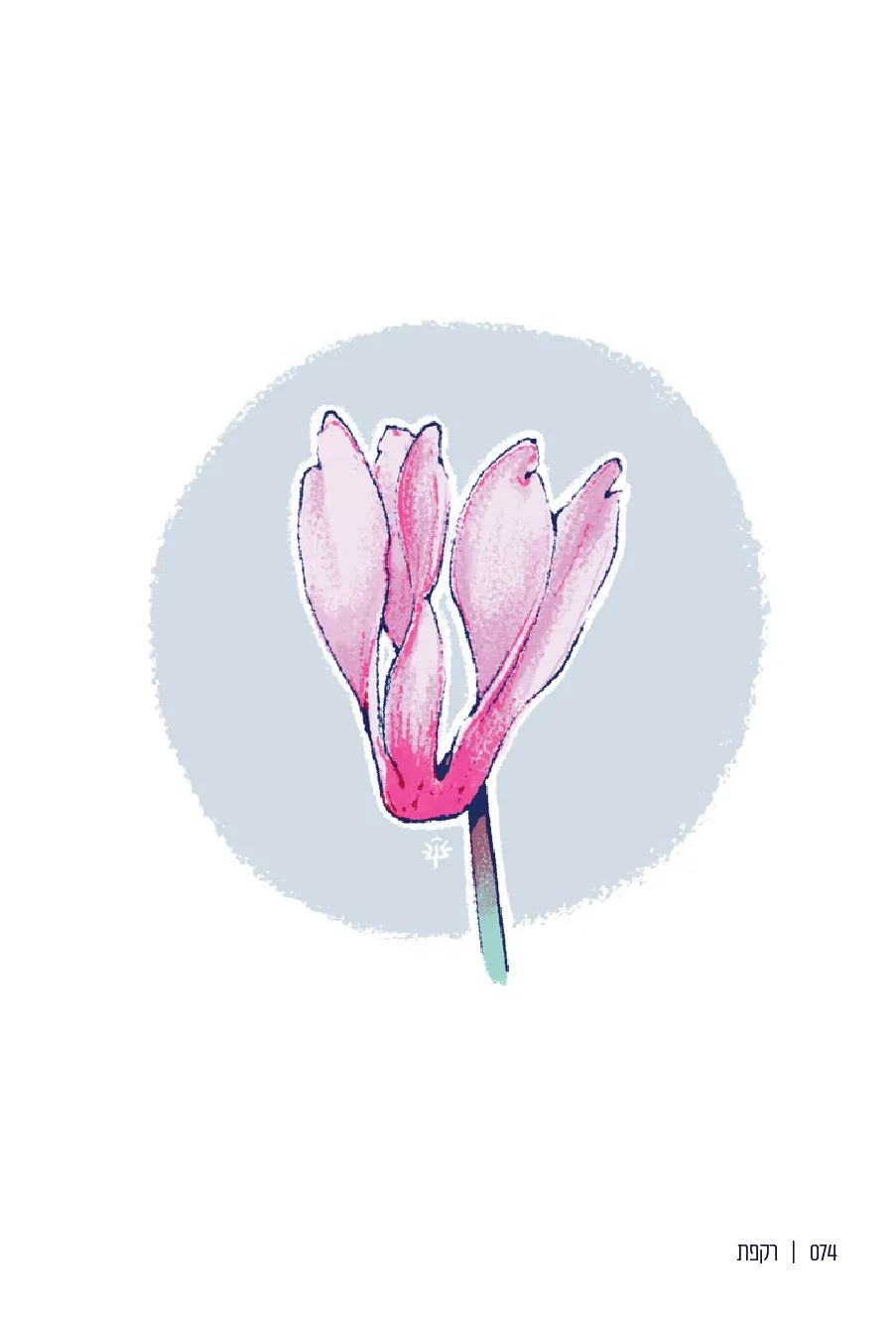 074  |  רקפת